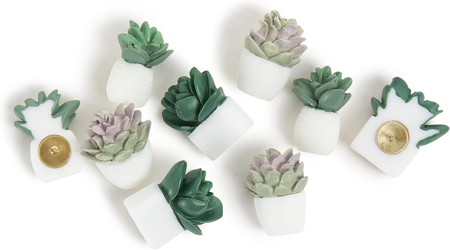 image:imageU Brands Succulent Push Pins Set Office Supplies Three Assorted Styles 9 Count