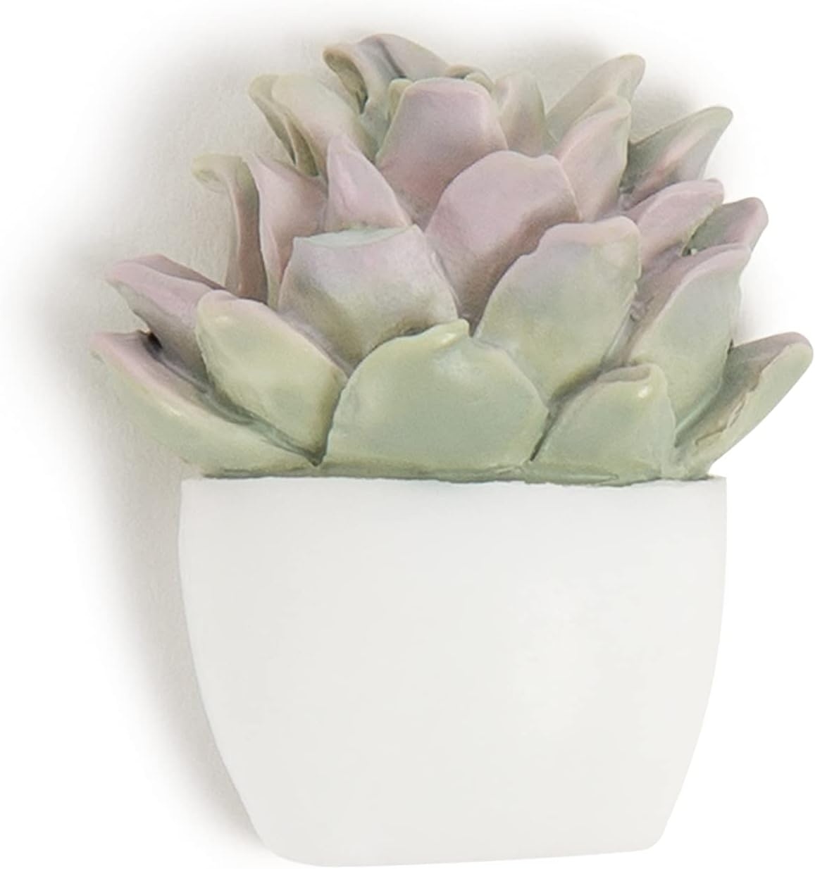 image:imageU Brands Succulent Push Pins Set Office Supplies Three Assorted Styles 9 Count