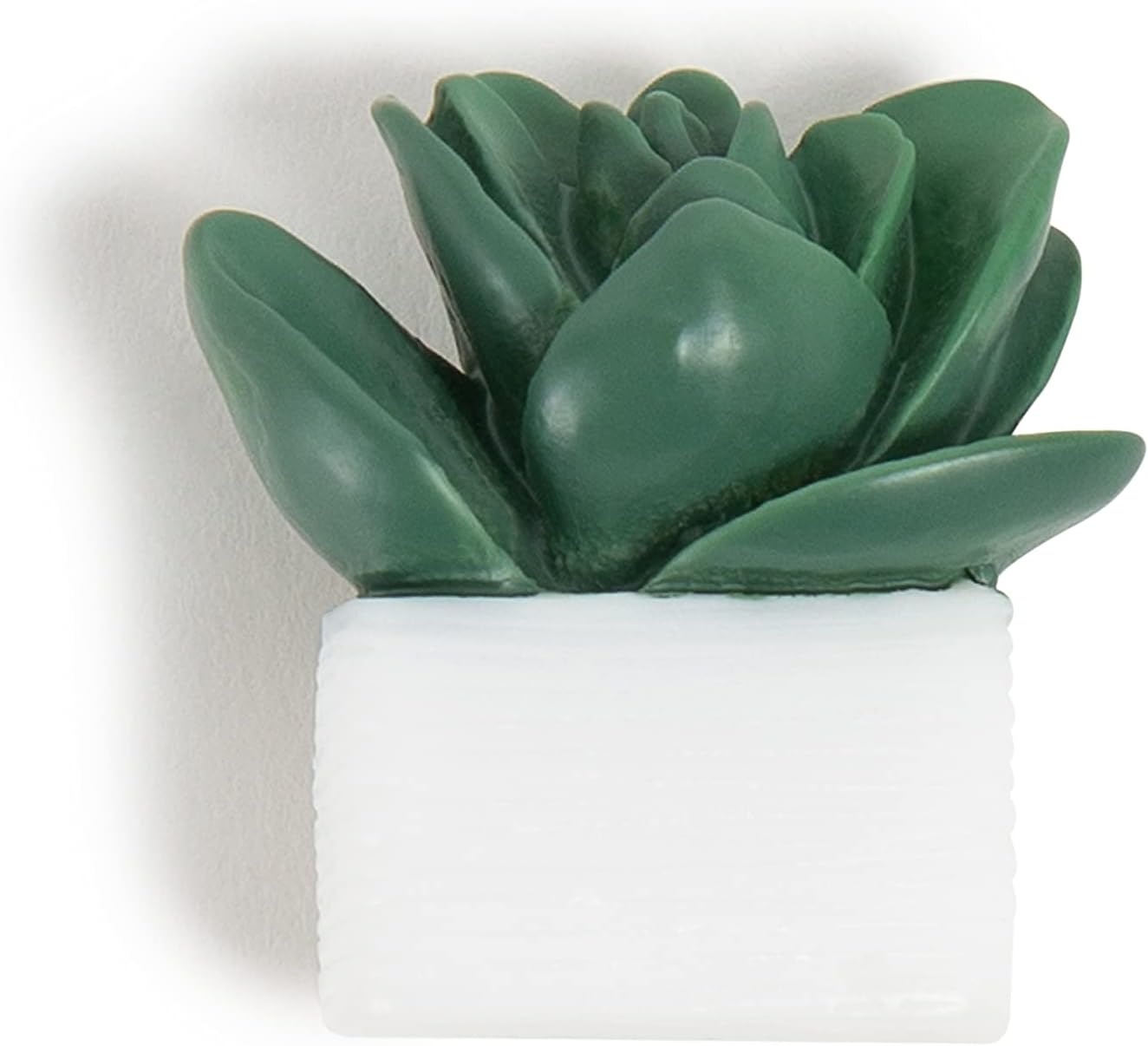 image:imageU Brands Succulent Push Pins Set Office Supplies Three Assorted Styles 9 Count
