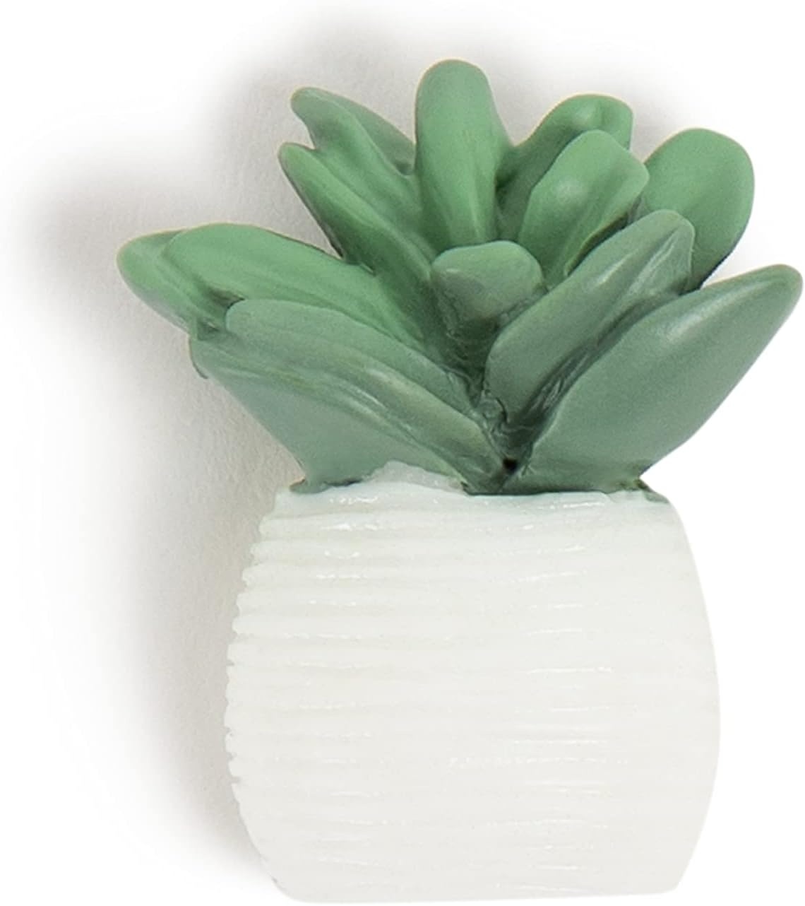 image:imageU Brands Succulent Push Pins Set Office Supplies Three Assorted Styles 9 Count