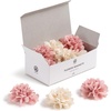 Blush and Cream Flowers