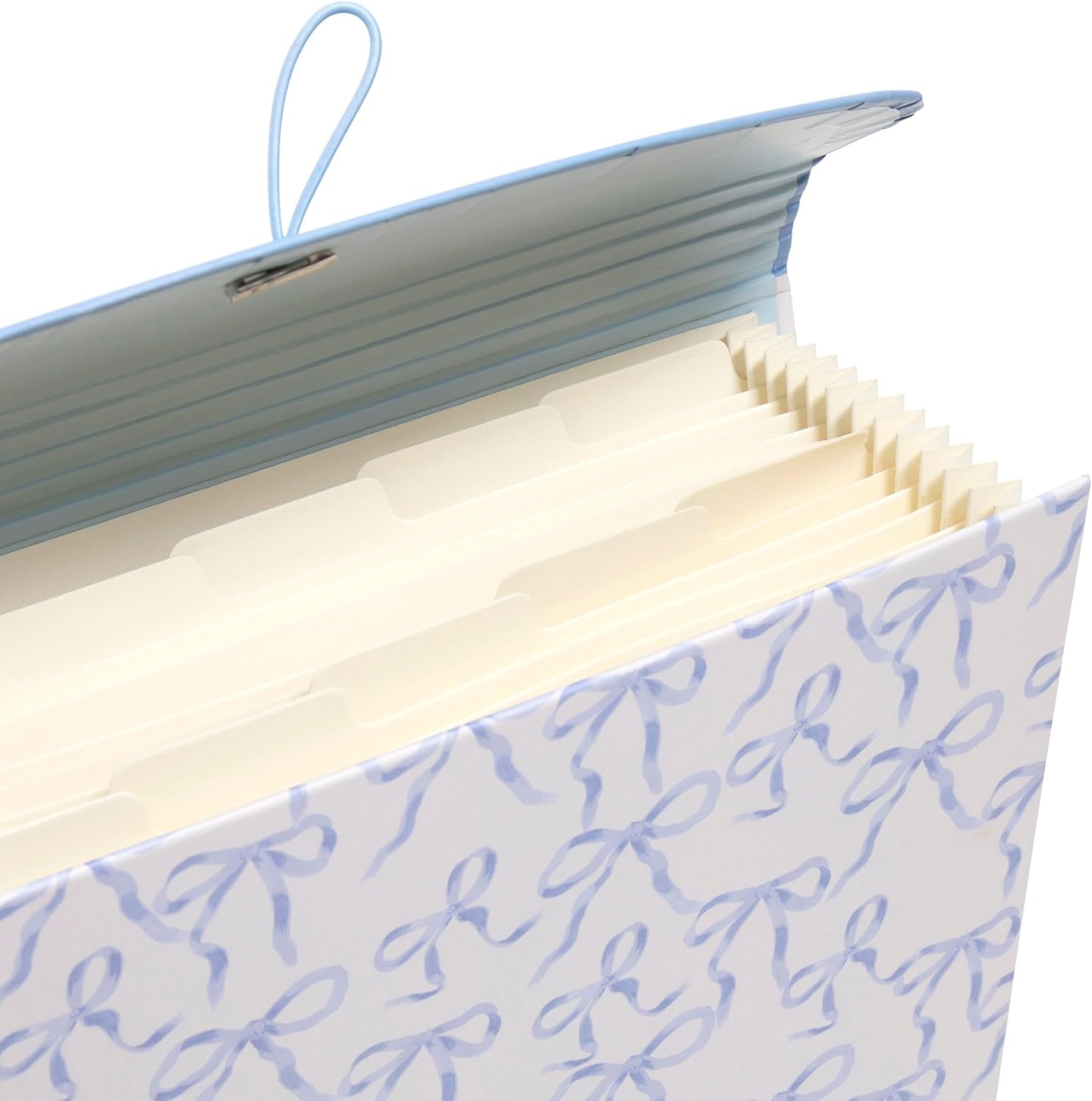 image:imageU Brands 13Pocket Accordion File Organizer Letter Size Expandable File Folder Folder UEcoCharming Coquette