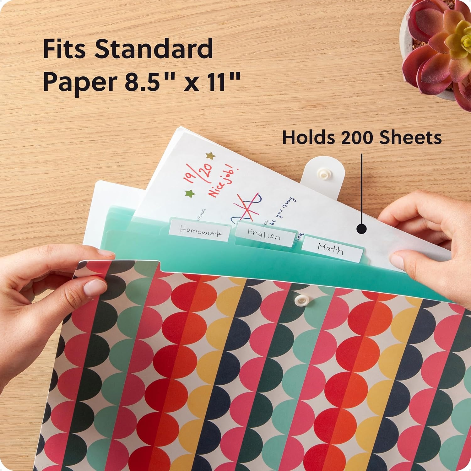 image:imageU Brands Poly 6 Pocket Expandable Folder with Tabs Lucent Dreams Pastel 1 Count 15cut tabs and 14 Blank Adhesive LabelsColorful Cubist