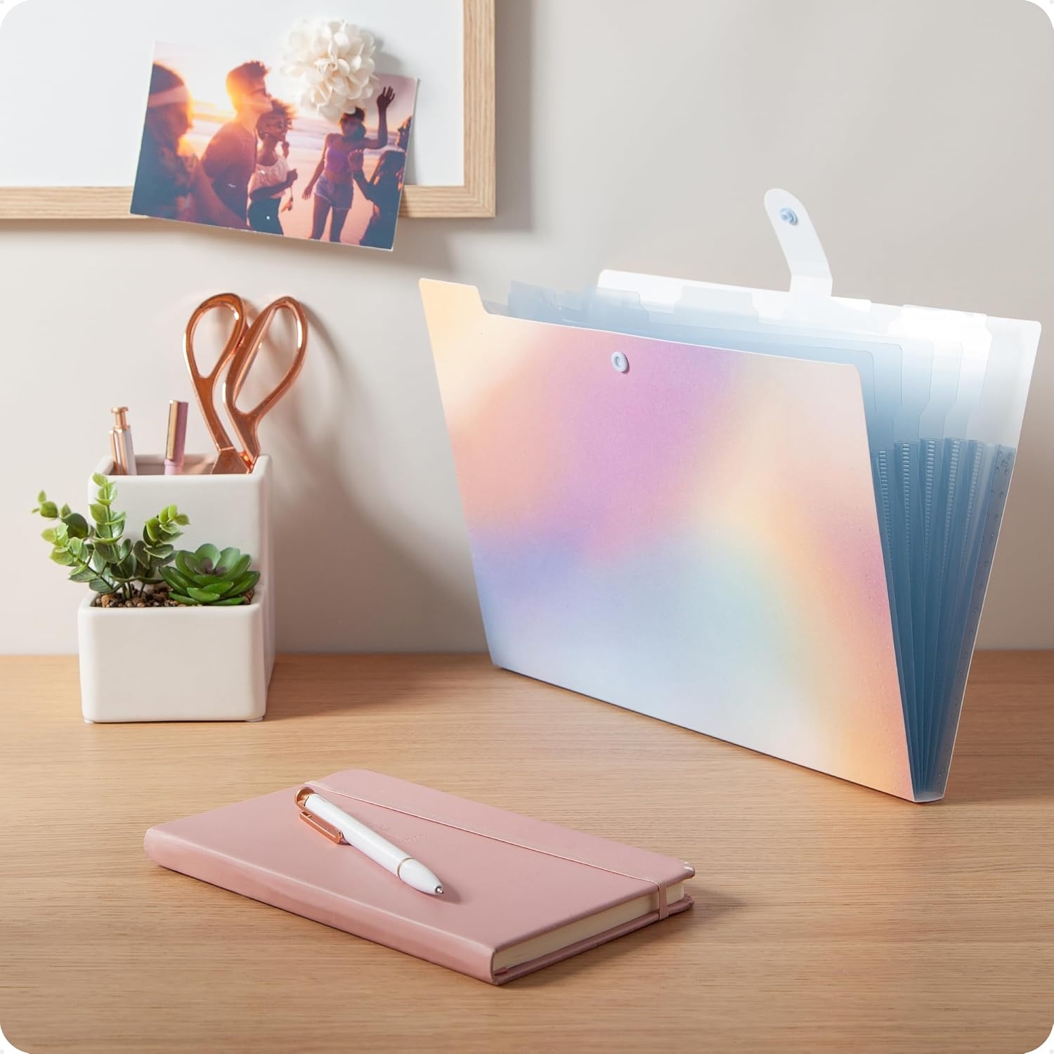 image:imageU Brands Poly 6 Pocket Expandable Folder with Tabs Lucent Dreams Pastel 1 Count 15cut tabs and 14 Blank Adhesive LabelsPastel