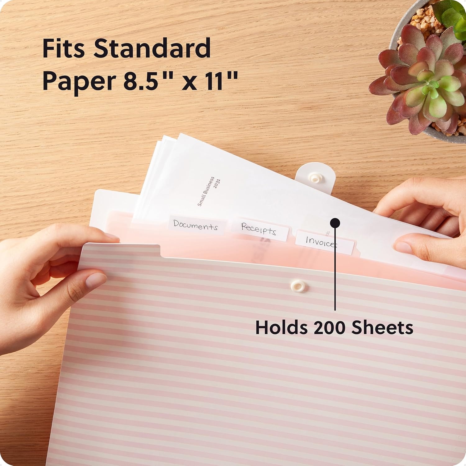 image:imageU Brands Poly 6 Pocket Expandable Folder with Tabs Lucent Dreams Pastel 1 Count 15cut tabs and 14 Blank Adhesive LabelsPreppy Pink Stripes