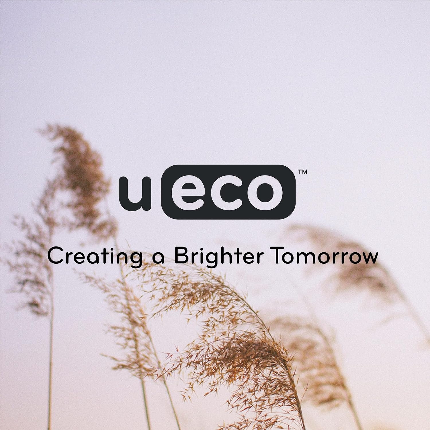 image:imageU Brands UEco 8 Scissors for Office Assorted Brights Patented Concave Blade Technology Craft Scissor Set Pack of Scissors for Gift Wrapping and Crafting Set of 3 6607U0124