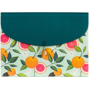 U Brands 13-Pocket Expanding File Folder, Office Supplies, Citrus Squeeze, Brass Hardware, FSC Certified(Citrus)
