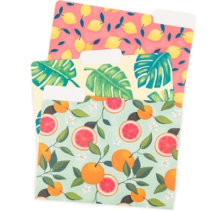 U Brands Fashion File Folders, 1/3-Cut Tabs in Assorted Positions, Letter Size, Office Supplies, 6 Count (Poly)(Citrus Squeeze)